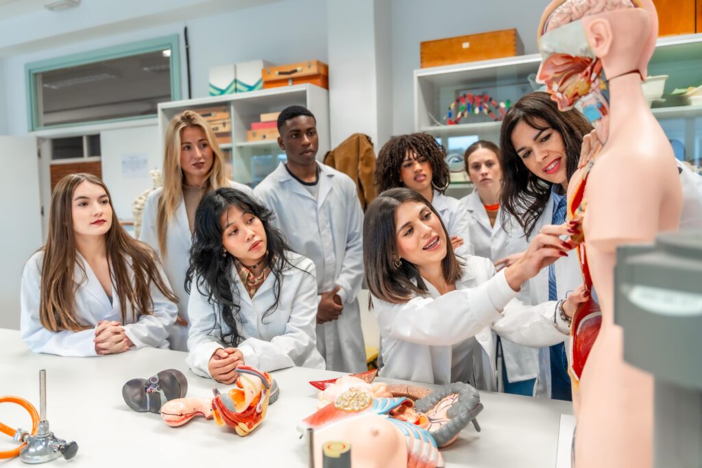 medical-students-studying-human-anatomy-in-univers-2025-03-10-14-45-40-utc-min